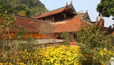 Pagoda vn